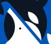 jun-sasaki-and-bruno-faidutti-on-whale-to-look-|-boardgamegeek-news